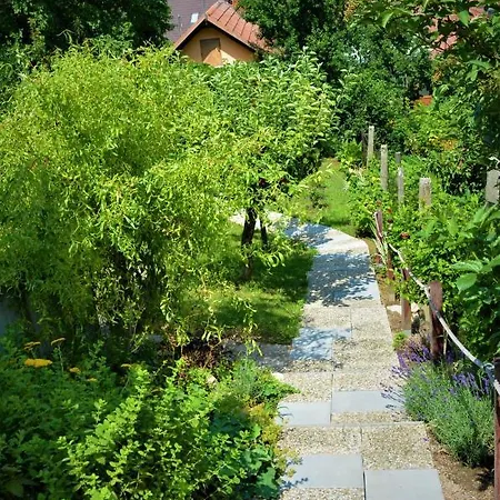 Vinarstvi Koliba Cejkovice (Hodonin)