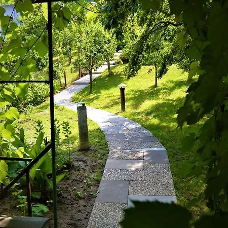 Vinarstvi Koliba * Cejkovice (Hodonin)