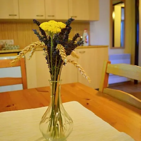 Apartment Vinarstvi Koliba Cejkovice (Hodonin)