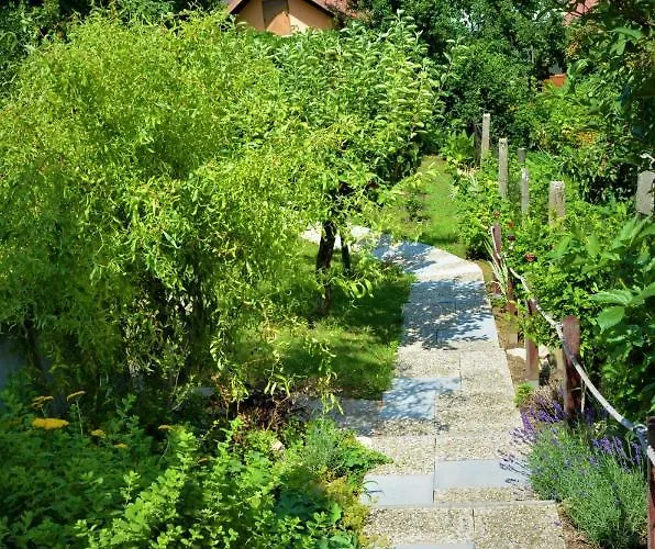 Vinarstvi Koliba Cejkovice (Hodonin)