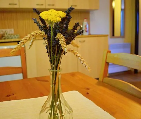 Appartement Vinarstvi Koliba Cejkovice (Hodonin)